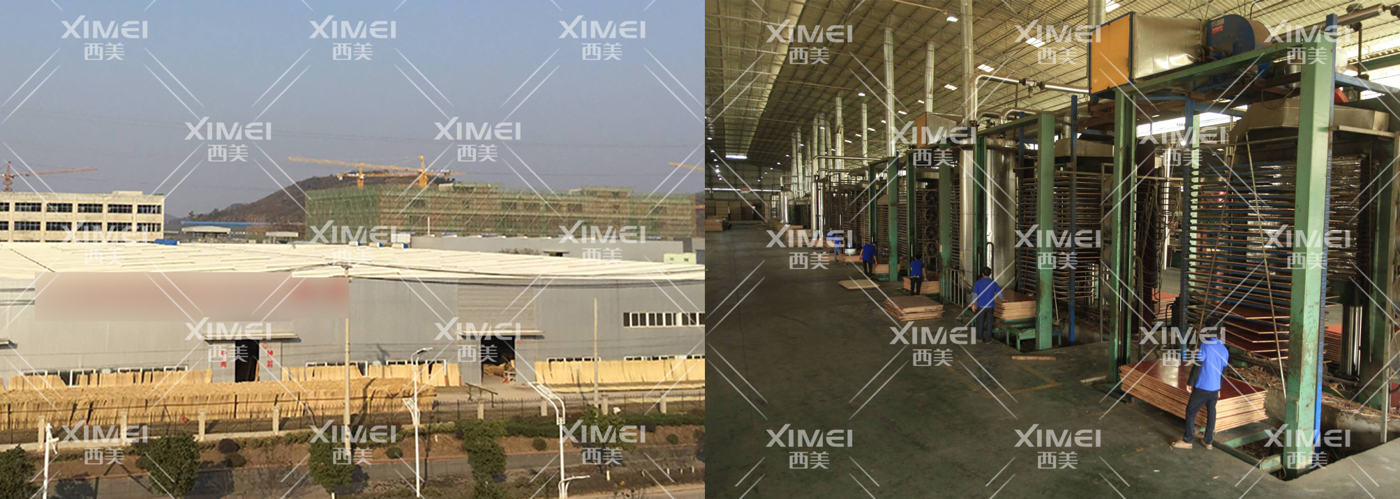 恭喜宿州市XX木业有限公司顺利通过EUTR认证审核(图1)